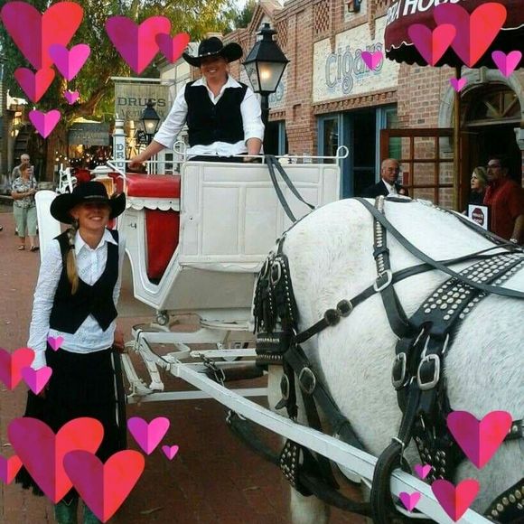 Meet your Posher, Francesca - Picture 1 of 1